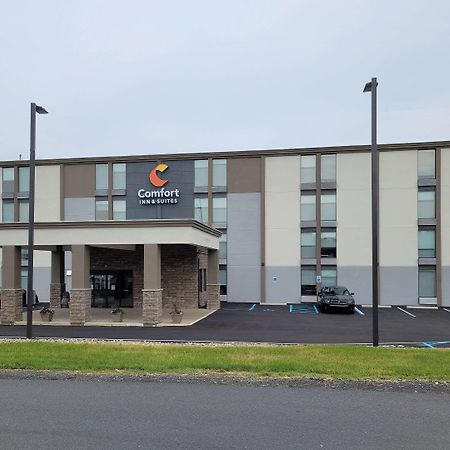 Comfort Inn & Suites Wyomissing-Reading Kültér fotó